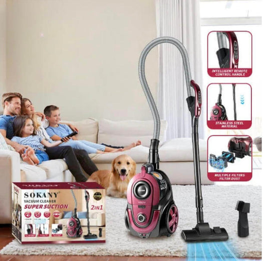 2 in 1 Multifunctional Wet and Dry Carpet Vacuum Cleaner